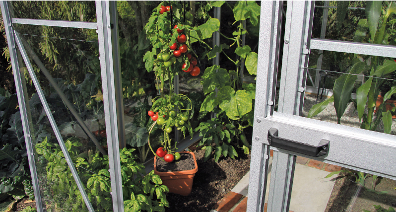 Christie glasshouses - grow food all year round